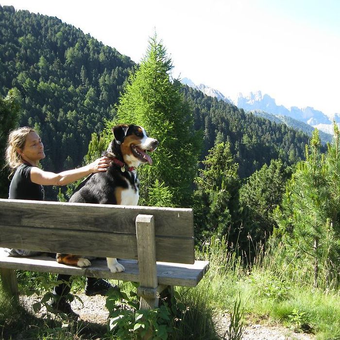 Hotels Near Gemeindebucherei Alpbach Tyrol