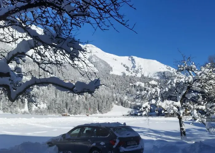 Ferienhof Leo Villa Steeg fotoğrafı