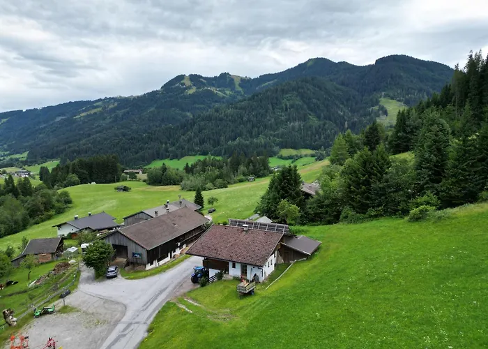 Zuhaus Gruab - Dog Friendly Tyrolean Apartment With Fireplace Wildschoenau Premiumcard foto