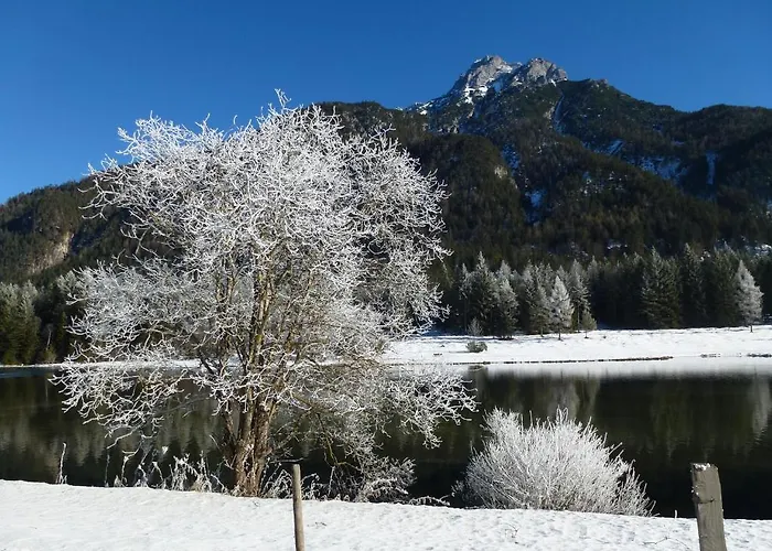 盖斯特豪斯罗斯酒店 菲伯布伦照片